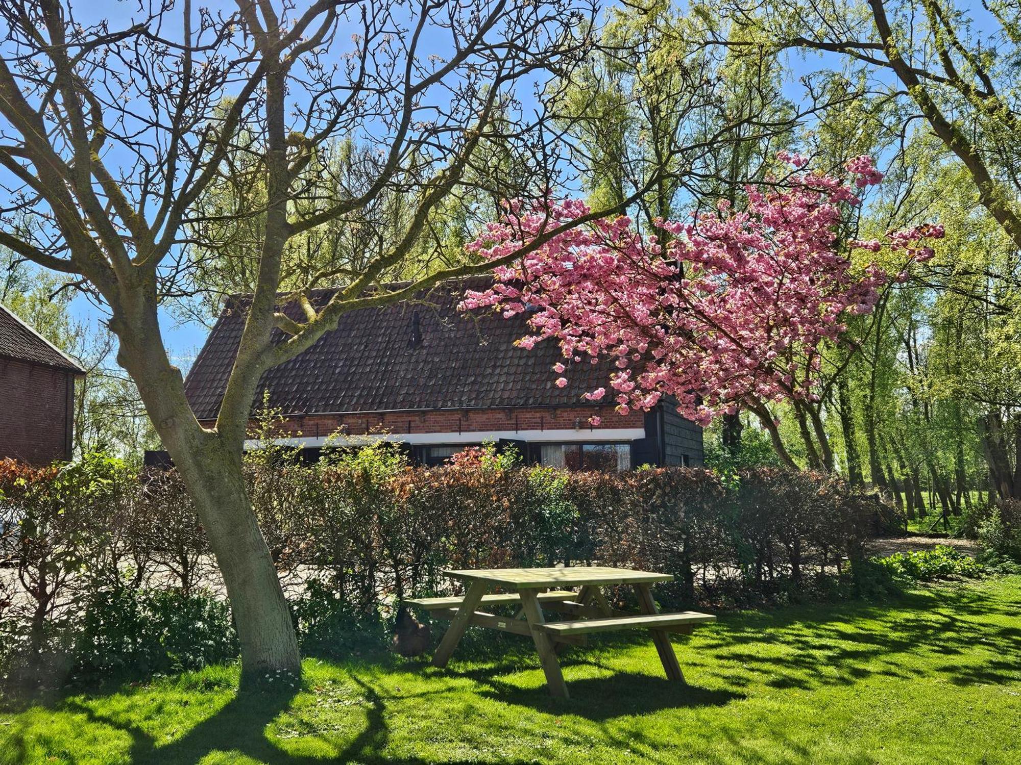 De Zeeuwsche Hoeve Kerkwerve Экстерьер фото