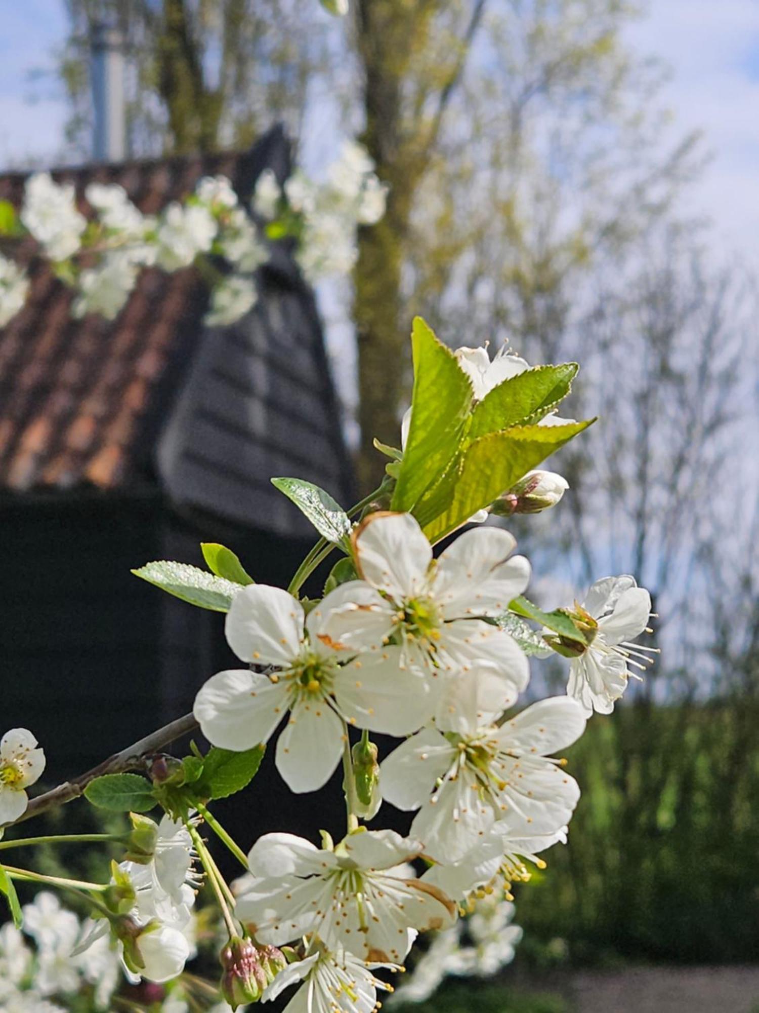 De Zeeuwsche Hoeve Kerkwerve Экстерьер фото