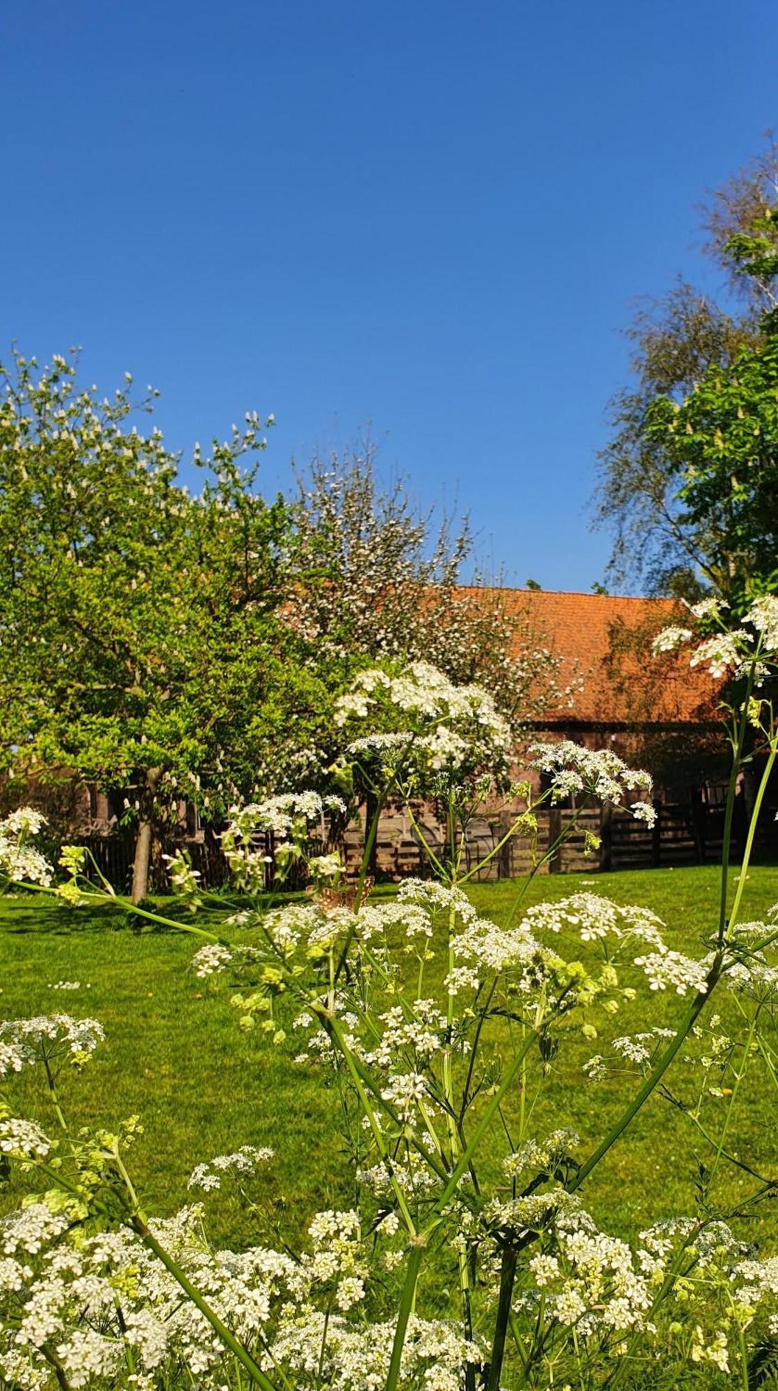 De Zeeuwsche Hoeve Kerkwerve Экстерьер фото