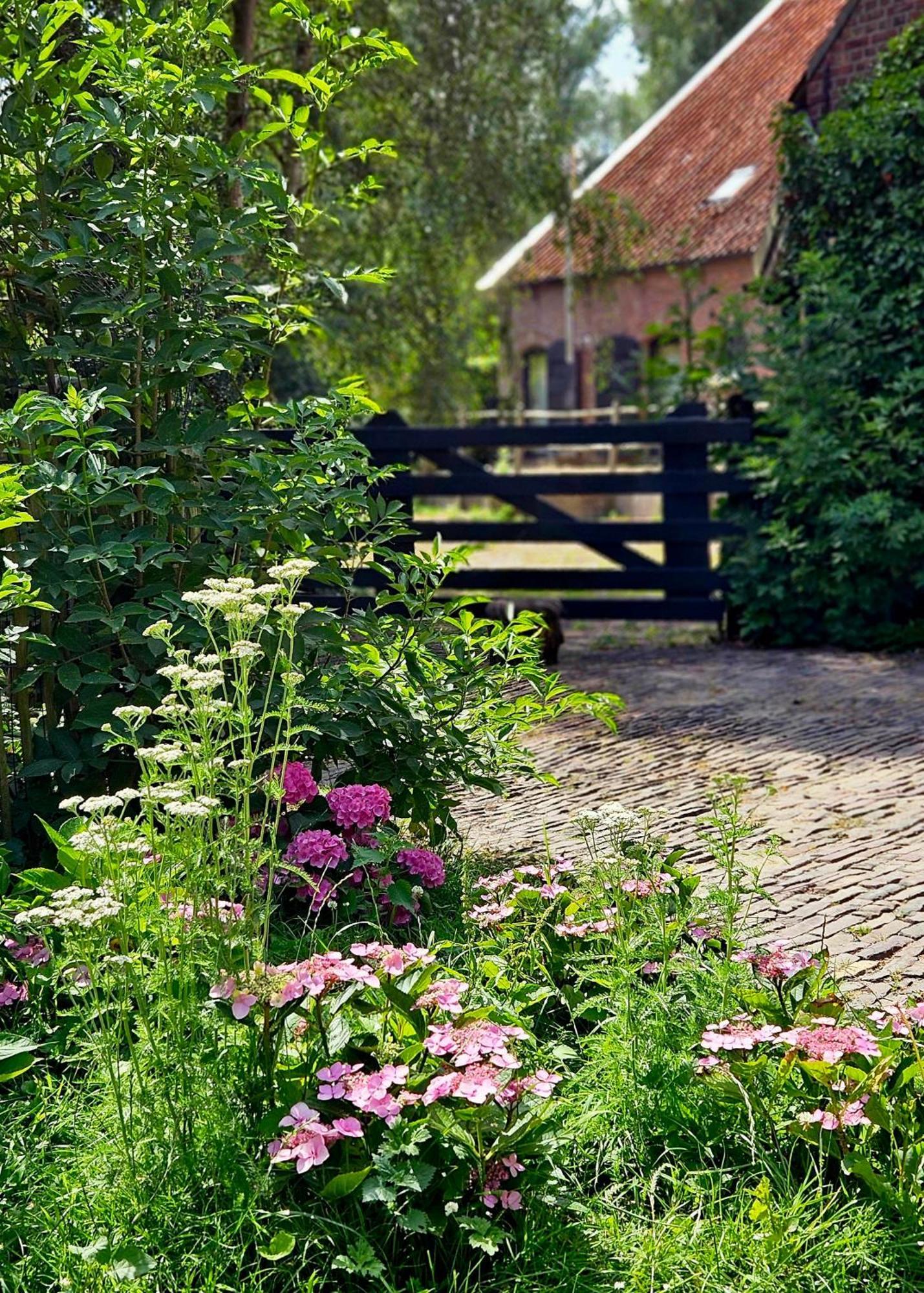De Zeeuwsche Hoeve Kerkwerve Экстерьер фото