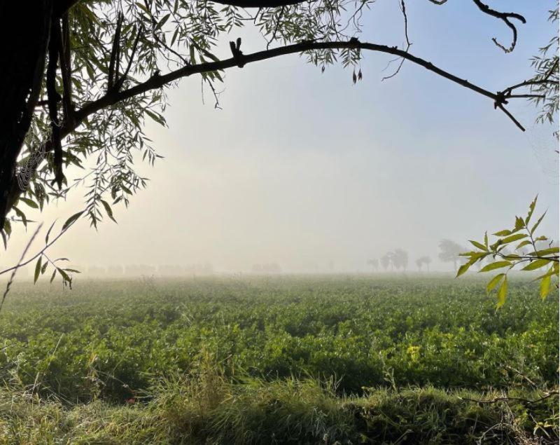 De Zeeuwsche Hoeve Kerkwerve Экстерьер фото